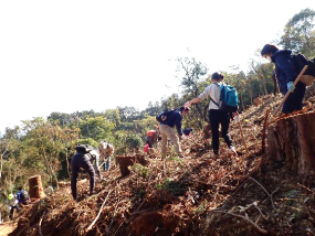 山中での作業の様子