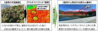 マルチスペクトル画像を用いた実証実験のイメージ図