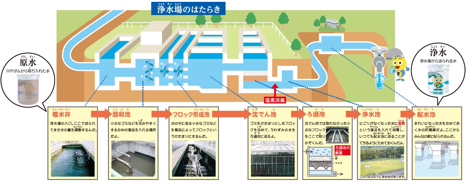 浄水場のはたらきを説明した図です。原水(川やダムから取り入れた水)が，浄水場の中の着水井（送られてきた水の量を調整）に届き，その後，混和池で水の中の小さなゴミなどを沈みやすくするための薬品が入ります。薬品により，フロック形成池で小さなゴミがフロックというかたまりになります。沈でん池にて，ゴミをかたまりにしたフロックを沈め，うわずみの水をろ過池に送ります。ろ過池にて，沈でん池ではとれなかった小さなフロックを取り除きます。浄水池にて，にごりがなくなった水に塩素という薬品を入れて消毒し，いつでも配水池に送ることができるようためておきます。配水池はきれいになった水をためておく水の貯蔵庫です。ここから各ご家庭に水が配られます。