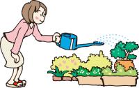 水やりのイラスト