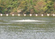 空気揚水筒の気泡弾の画像