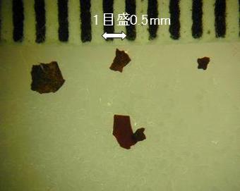 水道管からはく離した鉄サビ