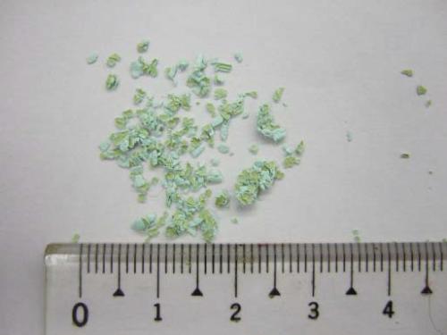 乾燥状態の「緑白色異物」