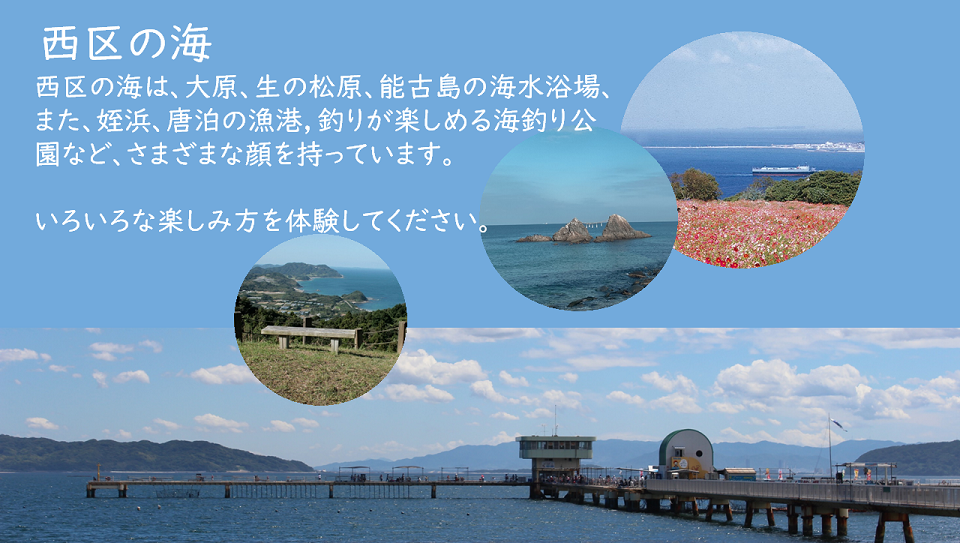 西区の海紹介