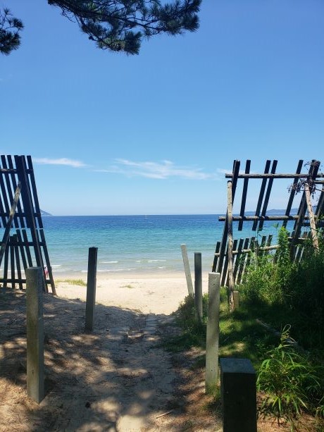 今津元寇防塁からのぞく海