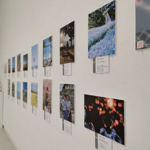 美術館での写真展の様子1