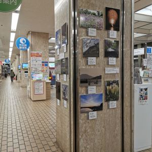 西区役所１階に写真を展示1