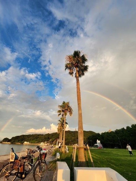 長垂海浜公園のヤシの木