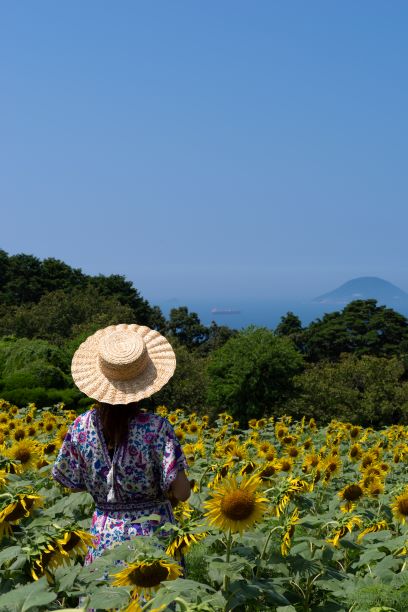 のこのしまアイランドパークのひまわり畑で船を見つめる女性