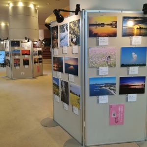 アクロス福岡の展示風景2