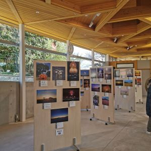 植物園に展示している様子