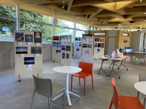 植物園に展示している様子