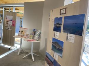 植物園に展示している様子