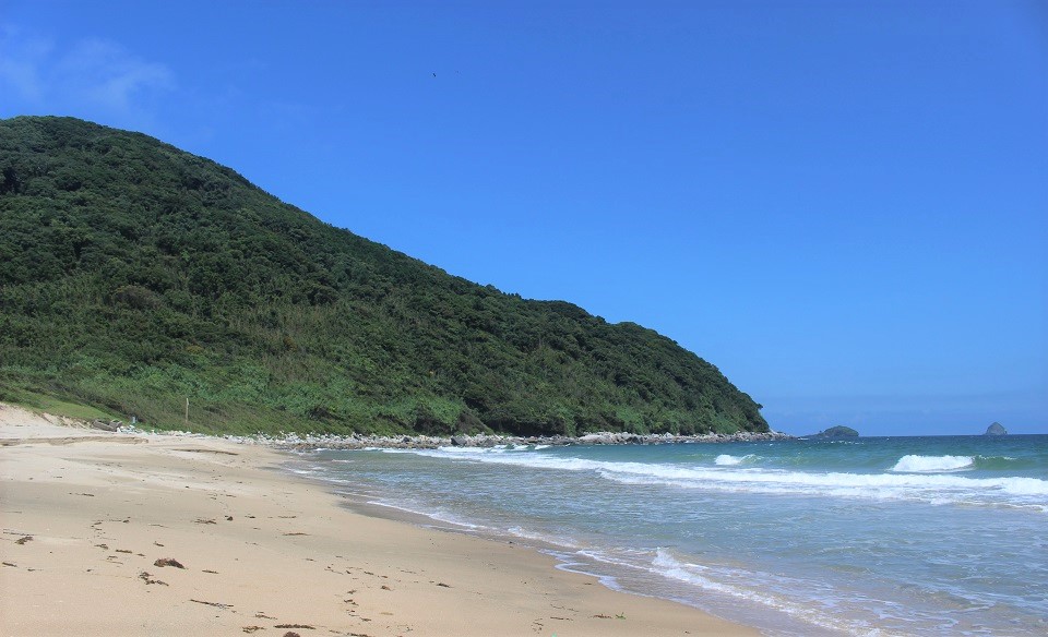 西区の海岸線の写真