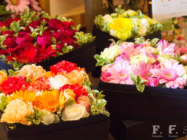 さまざまな種類の花々