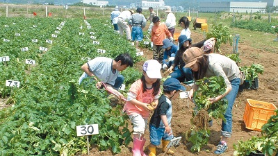 今津リフレッシュ農園の体験農園の様子