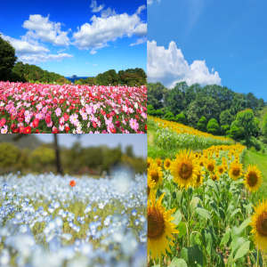 草花木ページへのリンク