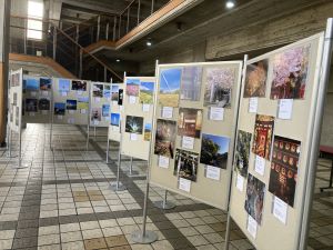 西市民センターに写真を展示している様子