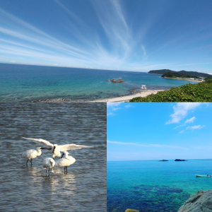 海ページへのリンク