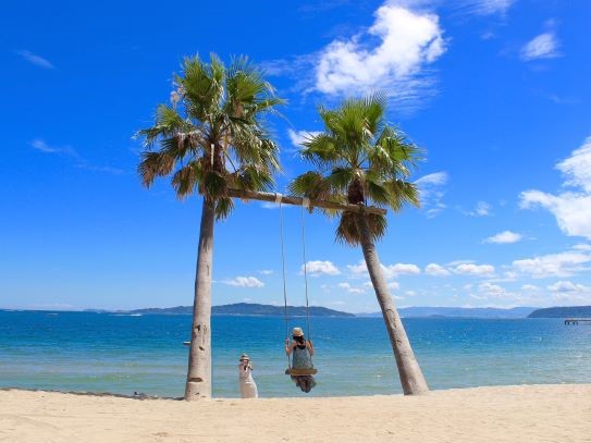ざうお本店の敷地内にあるブランコ