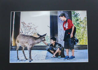 平成30年度写真部門優秀賞作品の画像