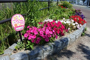 一人一花パートナー花壇の写真１