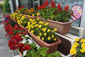 一人一花パートナー花壇の写真２