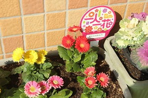 一人一花パートナー花壇の写真３