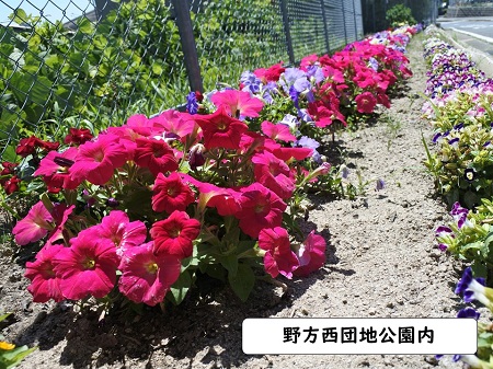 野方西団地公園内の写真