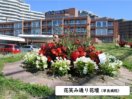 花笑み通り花壇（早良病院）の写真