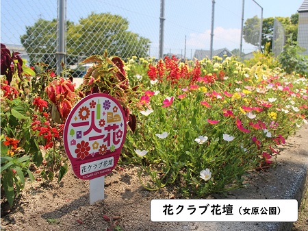 花クラブ花壇（女原公園）の写真