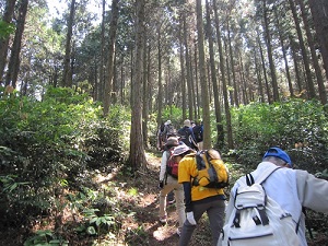 登山と史跡巡りの写真
