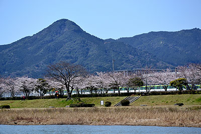 写真：飯盛特別緑地