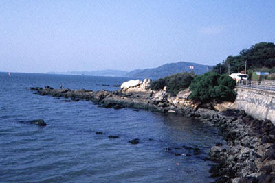 写真：長垂の含紅雲母・ペグマタイト岩脈