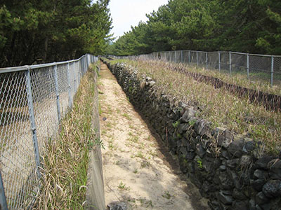 写真：今津元寇防塁