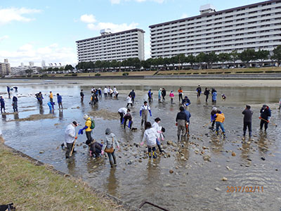 写真：室見川シロウオ産卵場造成プロジェクト