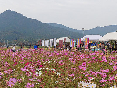 写真：国史跡吉武高木遺跡保存会
