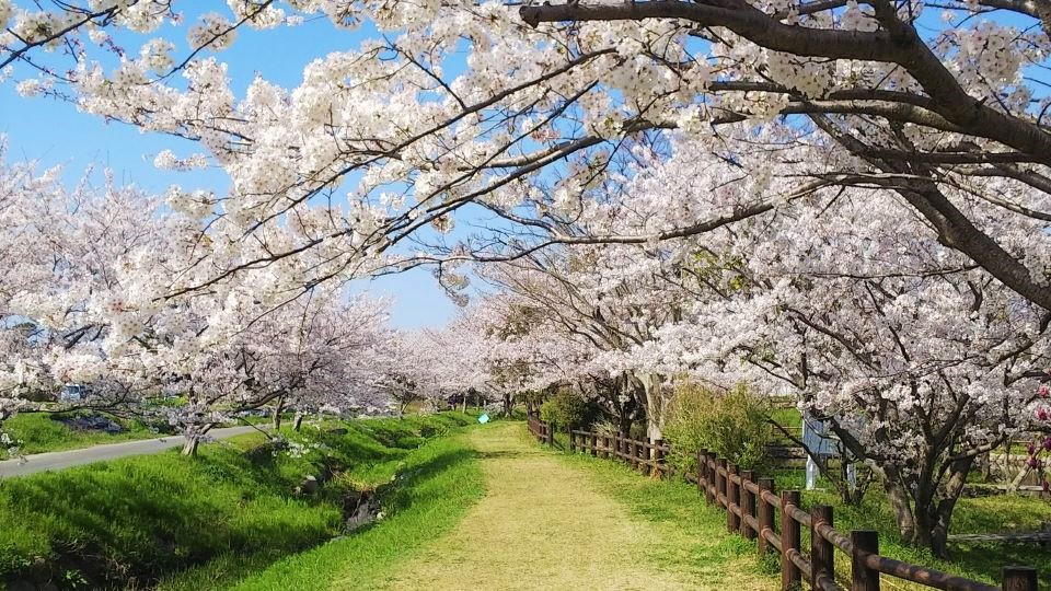 金武アメンボ池公園