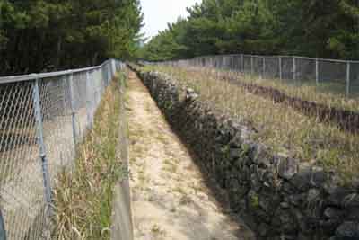 画像：今津・元岡