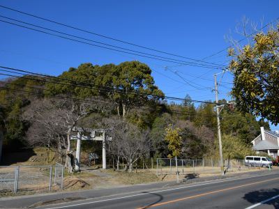今山特別緑地　保全地区