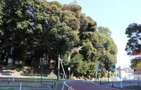 拾六町特別緑地保全地区