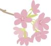 桜ｲﾗｽﾄ