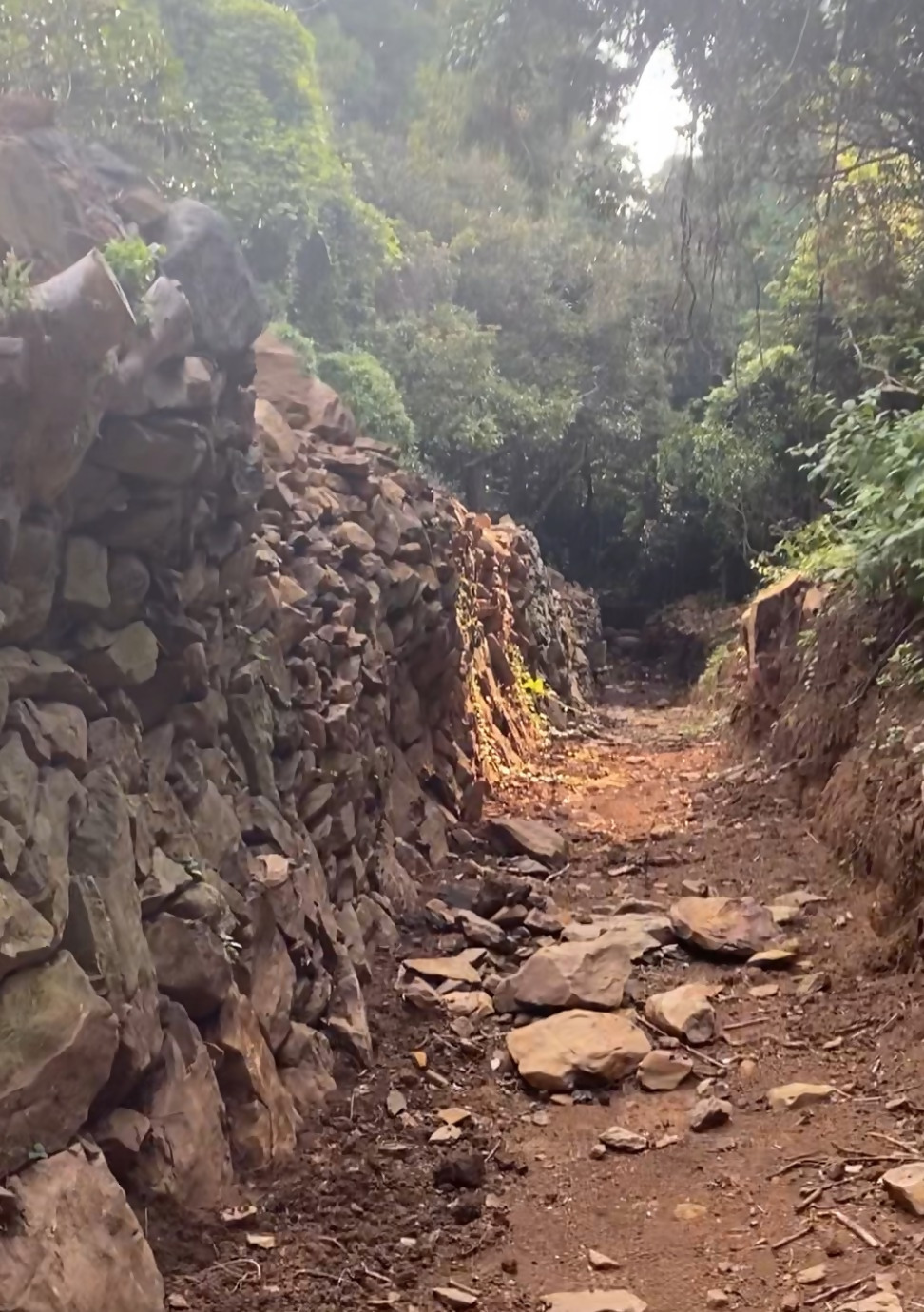 鹿垣を守る会の写真①