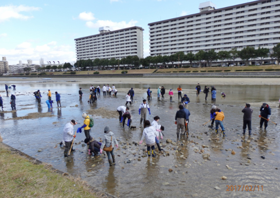 画像：自然に関する活動
