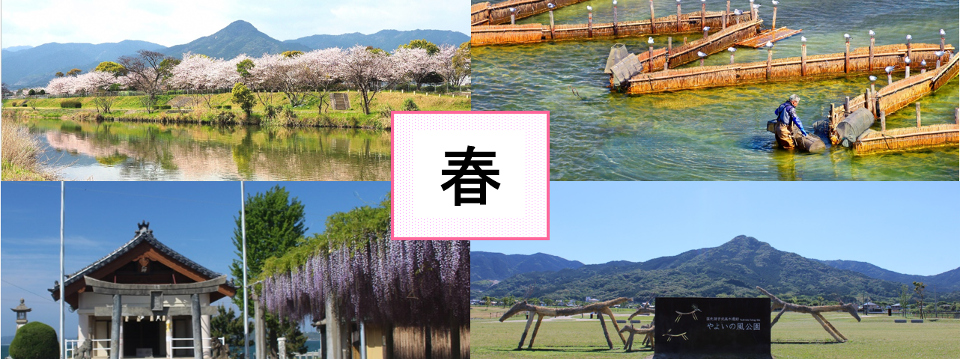 画像：春のおすすめ