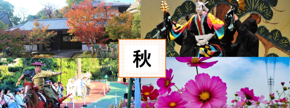 画像：秋のおすすめ