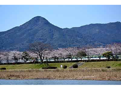 画像：特別緑地保全地区