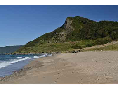 画像：山・川・森・池