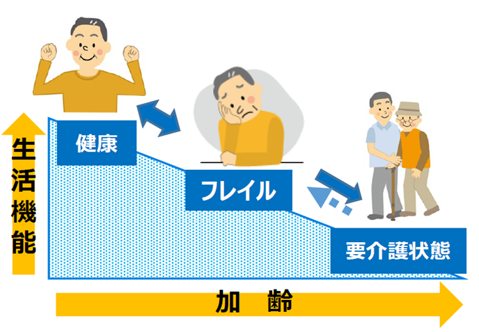 フレイルの進行を説明したイラストです。