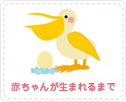 赤ちゃんが生まれるまで